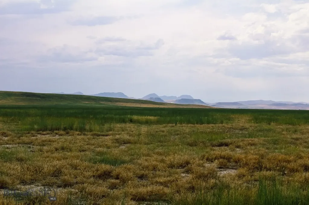 Muddy Creek Ranch Cascade MT 59421