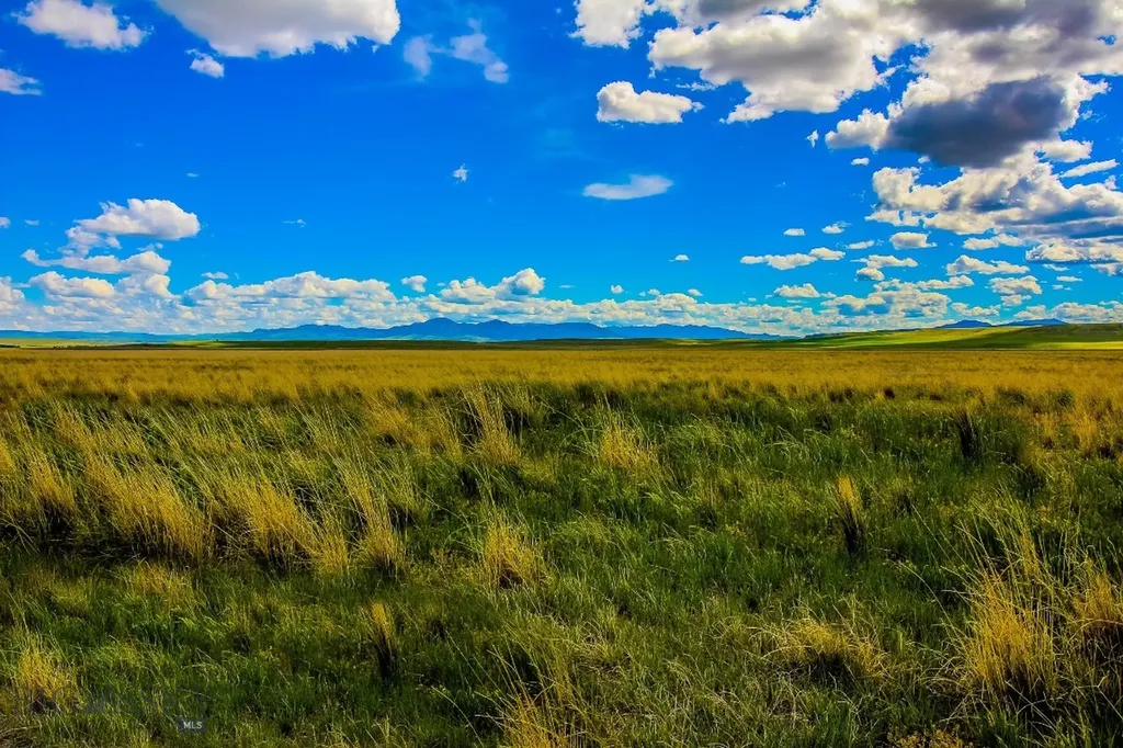 Muddy Creek Ranch Cascade MT 59421