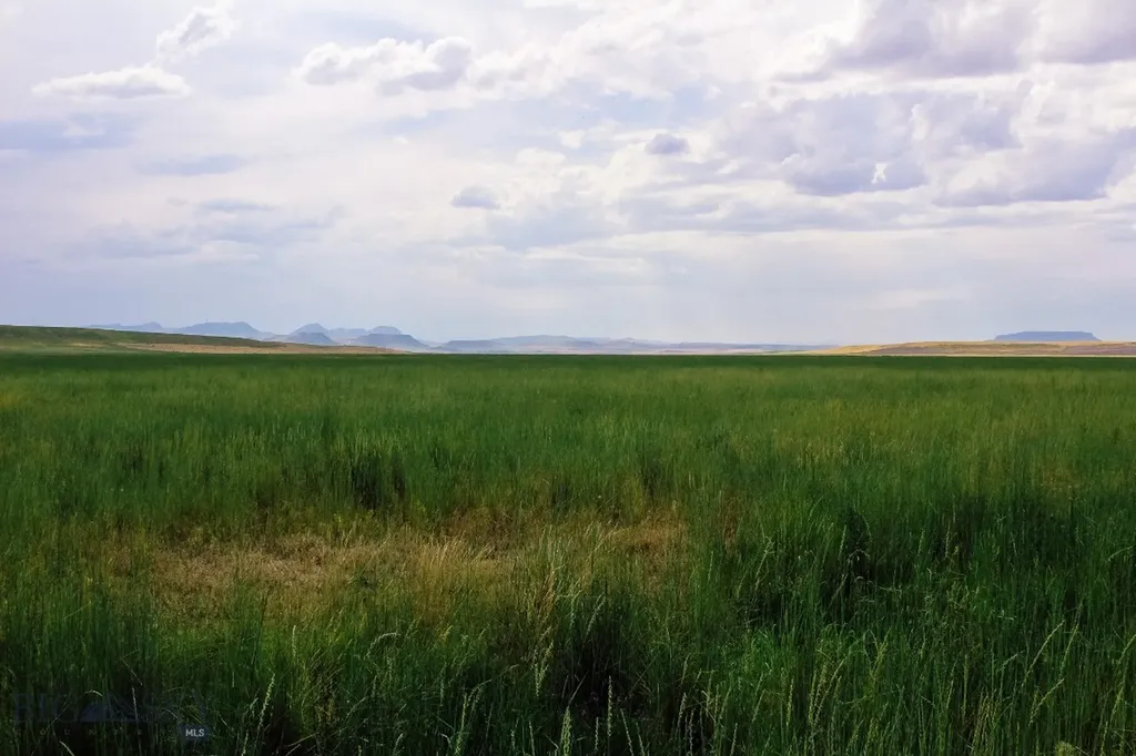 Muddy Creek Ranch Cascade MT 59421