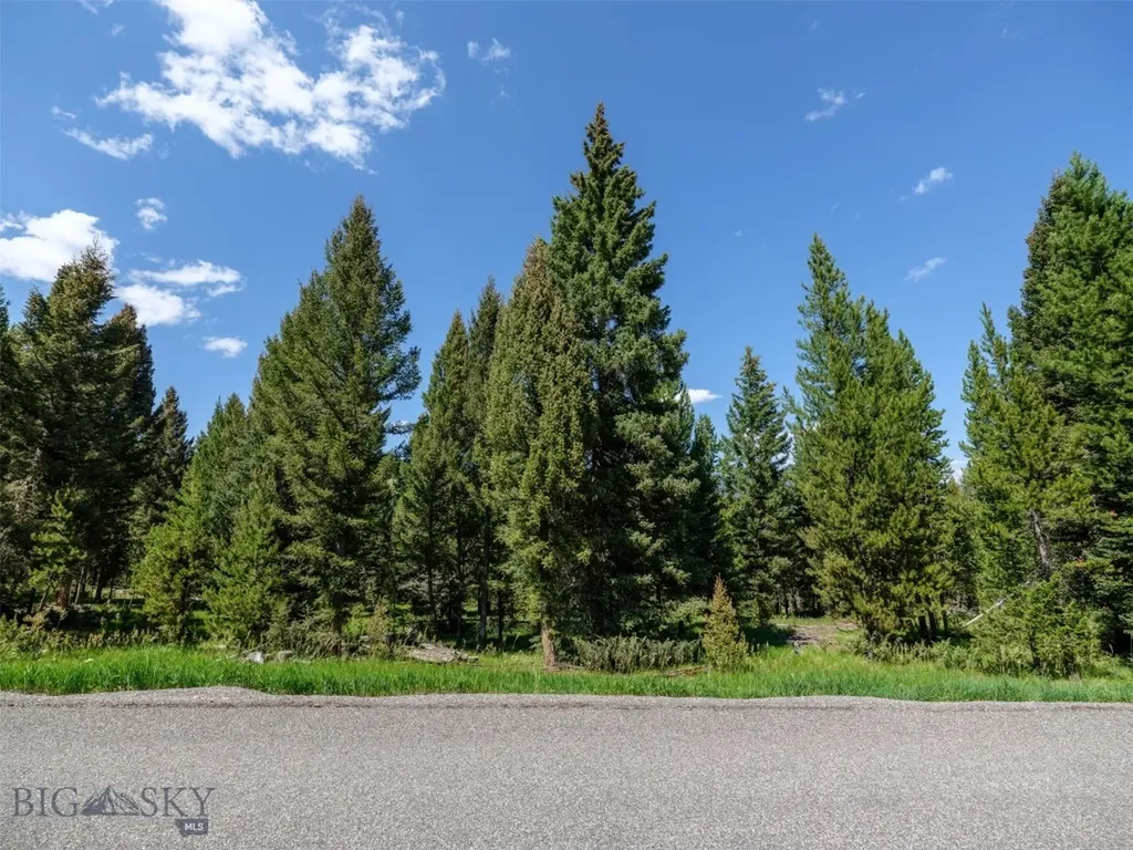 Tbd Settlers Loop Lot 91 Big Sky MT 59716