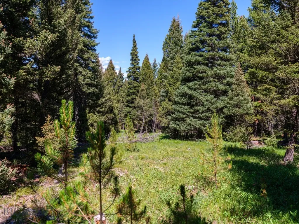 Tbd Settlers Loop Lot 91 Big Sky MT 59716