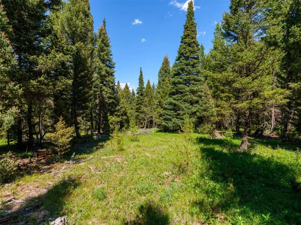 Tbd Settlers Loop Lot 91 Big Sky MT 59716