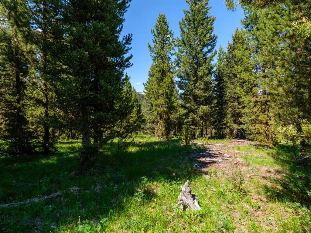 Tbd Settlers Loop Lot 91 Big Sky MT 59716