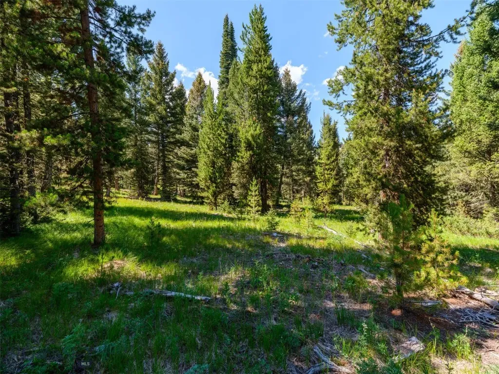 Tbd Settlers Loop Lot 91 Big Sky MT 59716