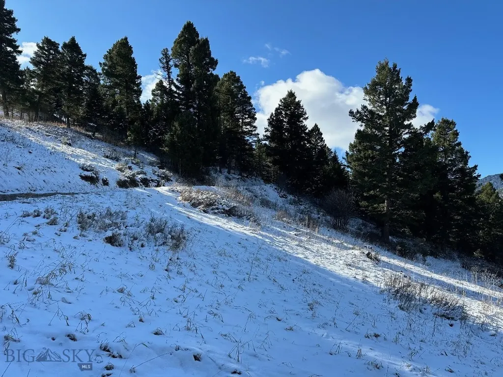 14850 Pony Creek Road Bozeman MT 59715