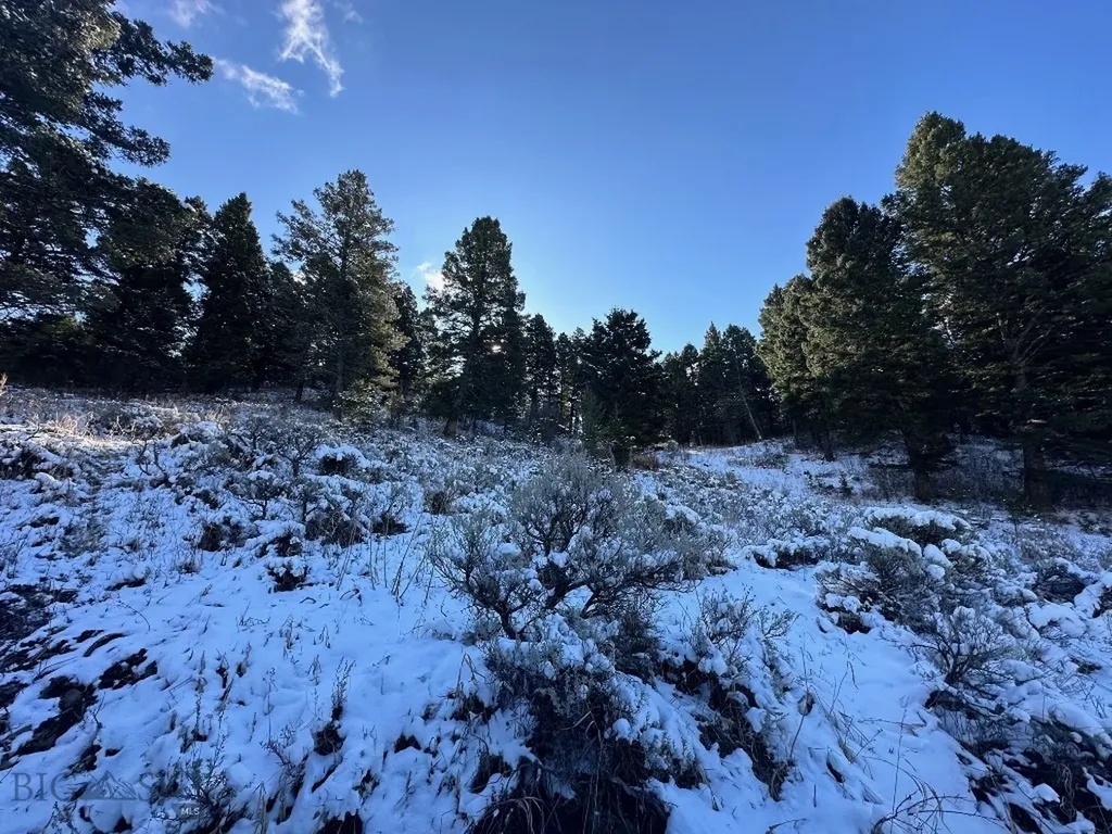 14850 Pony Creek Road Bozeman MT 59715