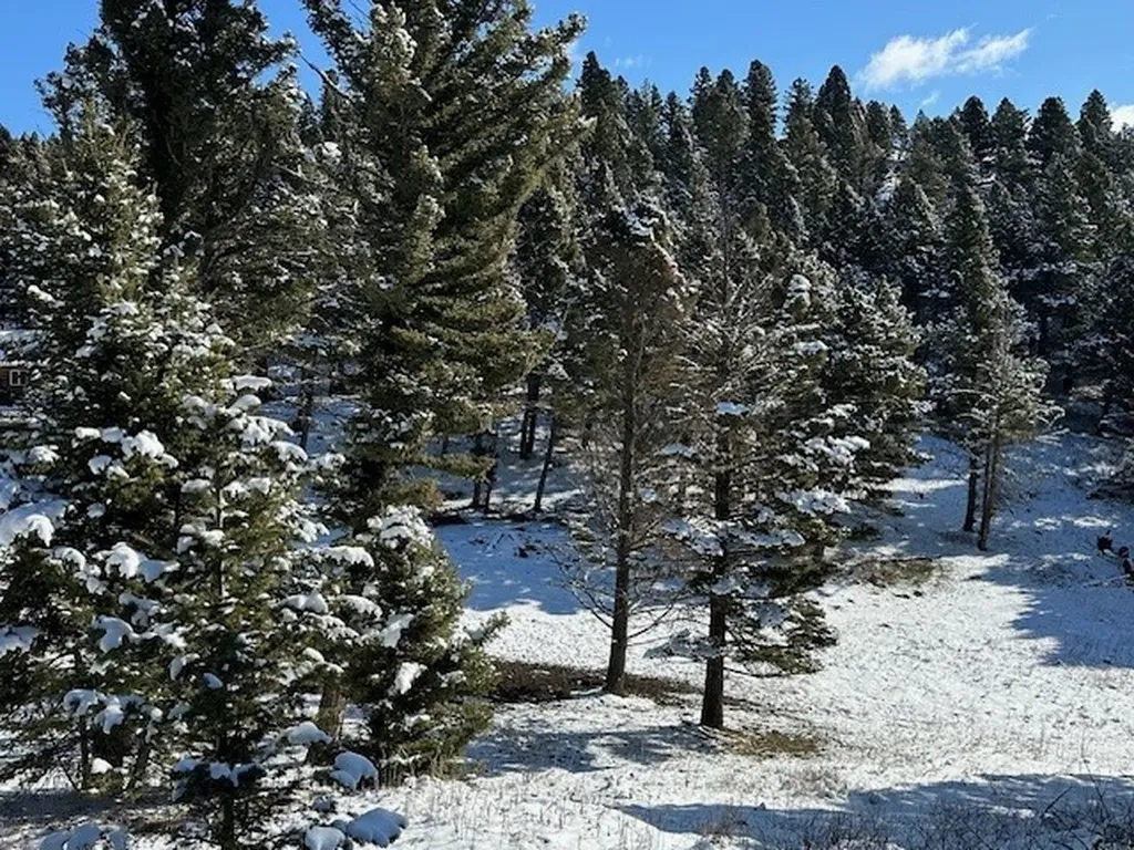 14850 Pony Creek Road Bozeman MT 59715