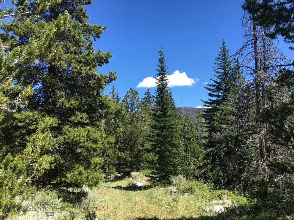 216 Trapper Creek Road Dillon MT 59725