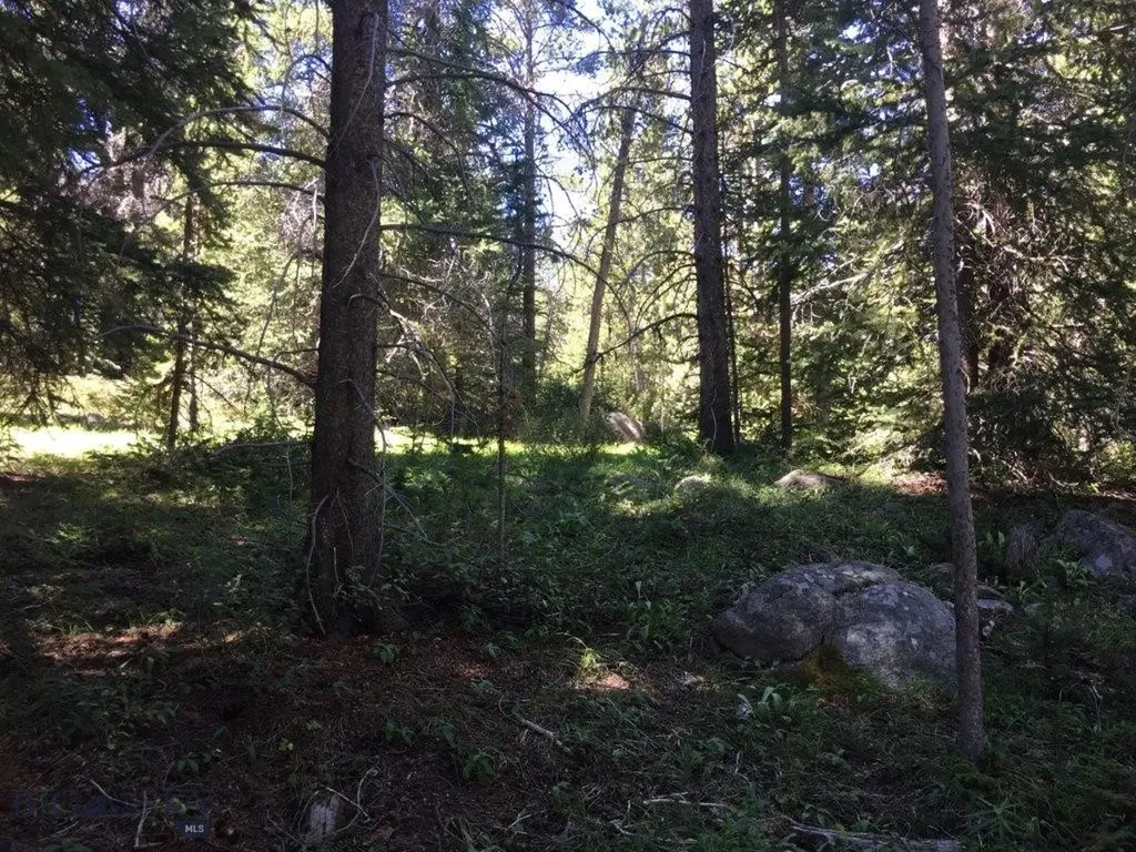 216 Trapper Creek Road Dillon MT 59725