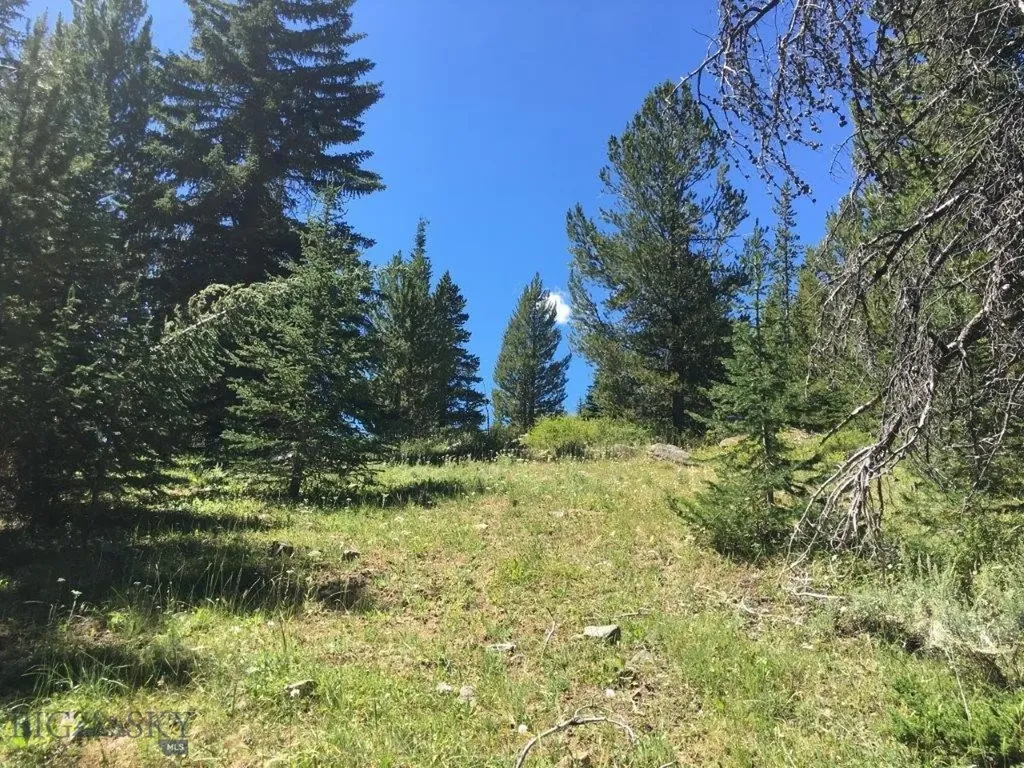 216 Trapper Creek Road Dillon MT 59725
