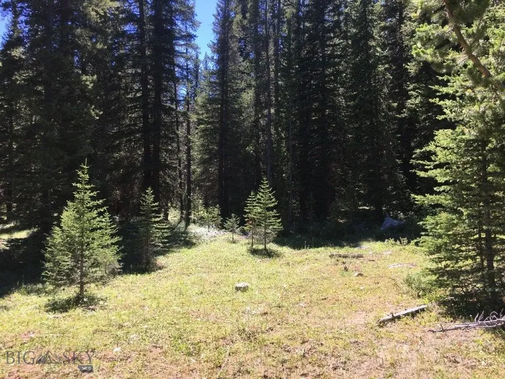 216 Trapper Creek Road Dillon MT 59725