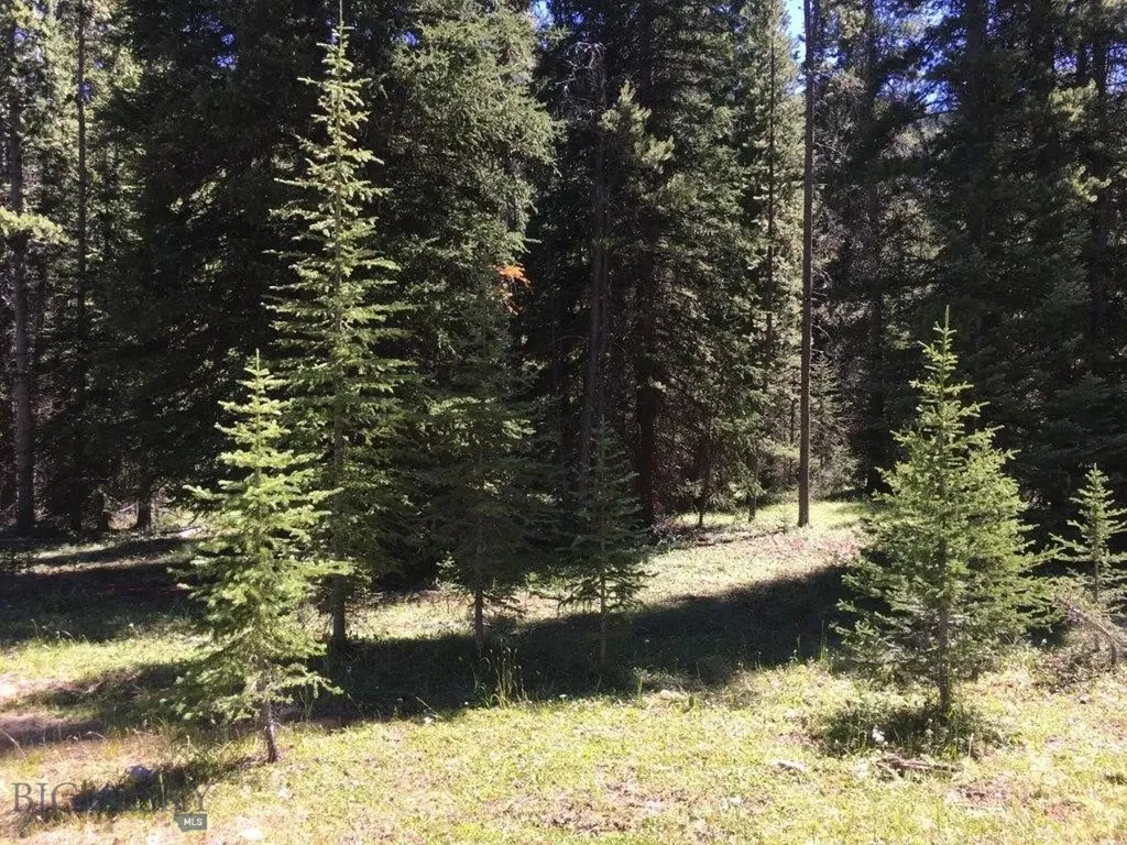 216 Trapper Creek Road Dillon MT 59725