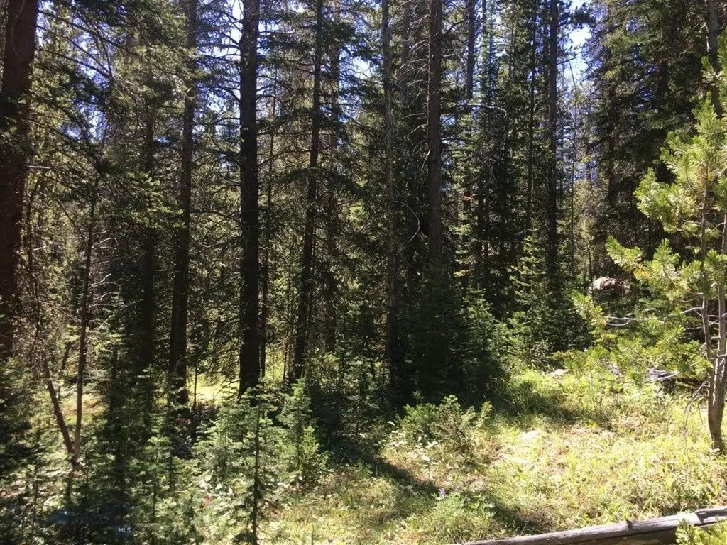 216 Trapper Creek Road Dillon MT 59725