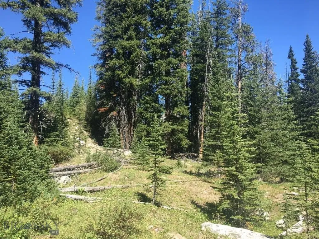216 Trapper Creek Road Dillon MT 59725