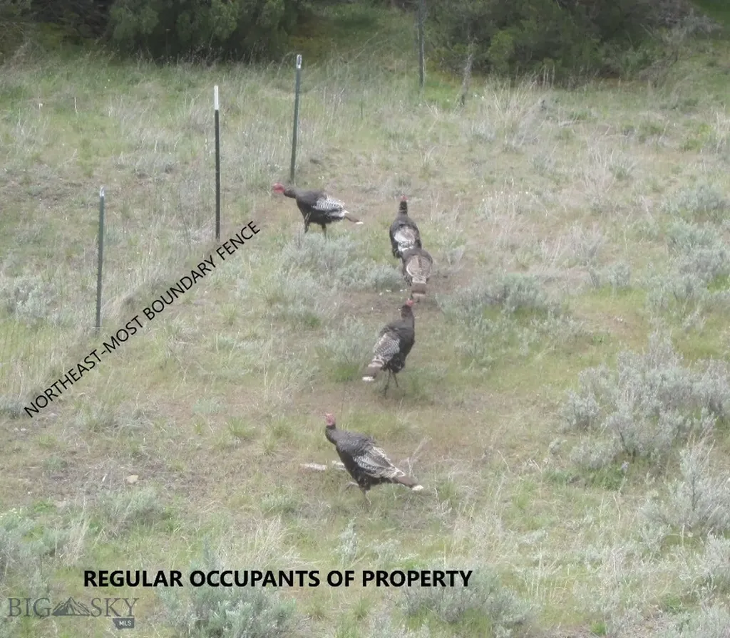 12430 Crystal Mountain Road Three Forks MT 59752