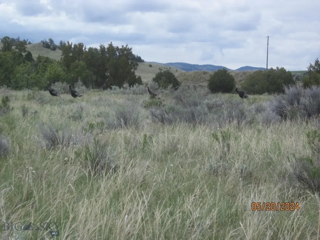 12430 Crystal Mountain Road Three Forks MT 59752