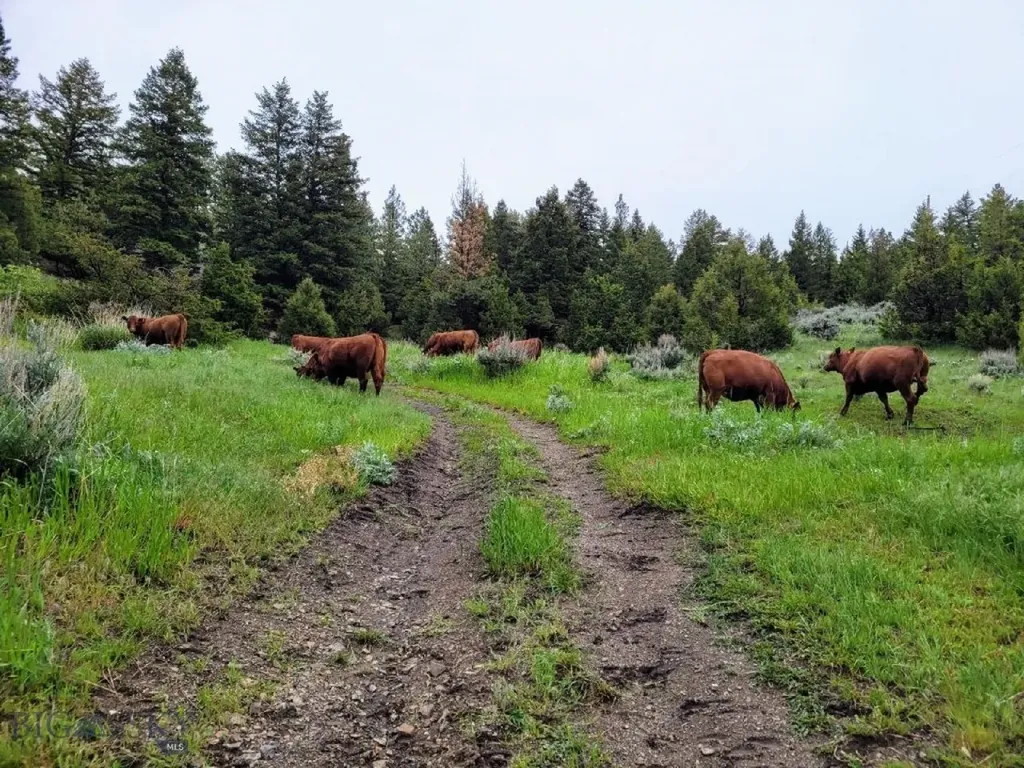 1146 Us Highway 12 E Townsend MT 59644