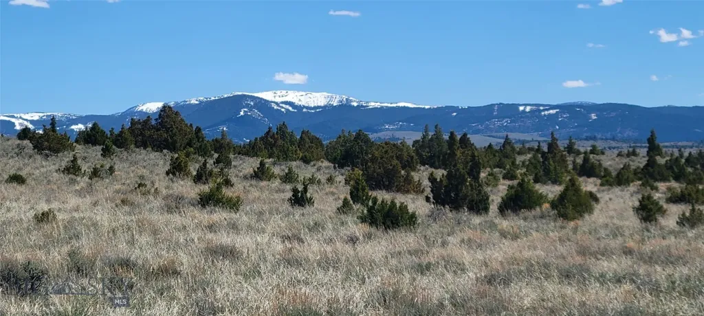 Alder MT 59710