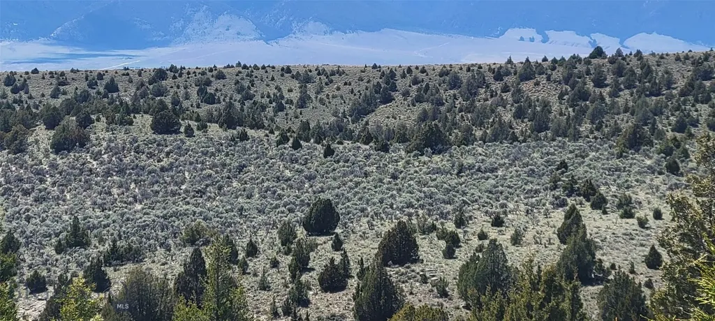 Alder MT 59710