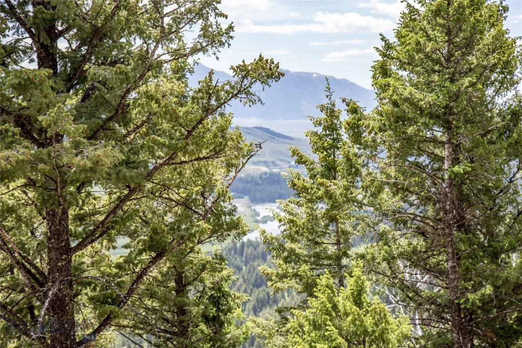Lot 37 Sun West Ranch Cameron MT 59720