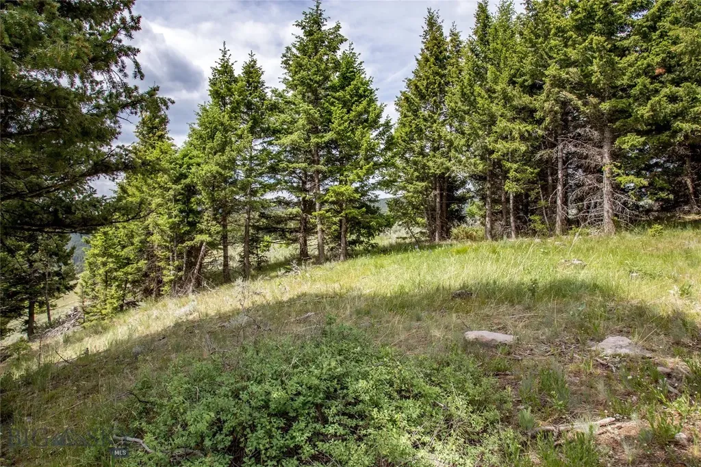 Lot 37 Sun West Ranch Cameron MT 59720