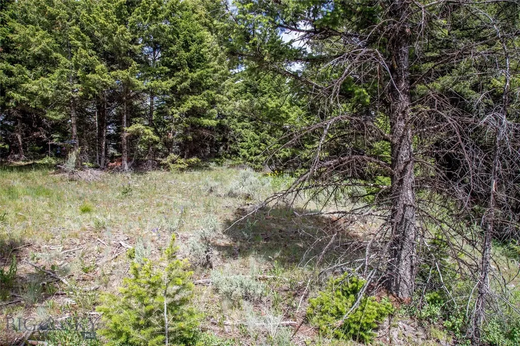 Lot 37 Sun West Ranch Cameron MT 59720
