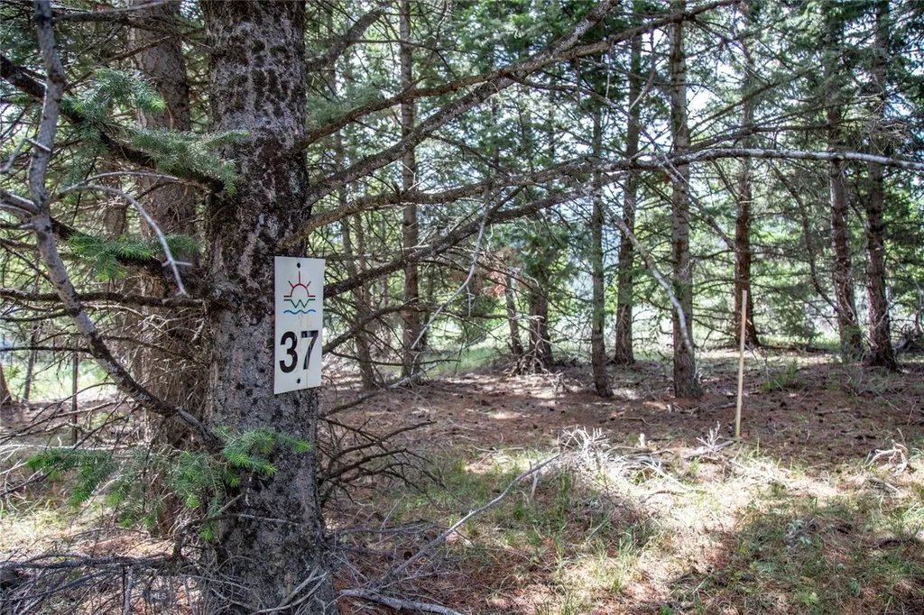 Lot 37 Sun West Ranch Cameron MT 59720