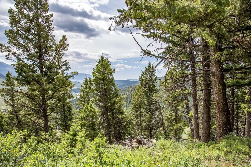 Lot 37 Sun West Ranch Cameron MT 59720