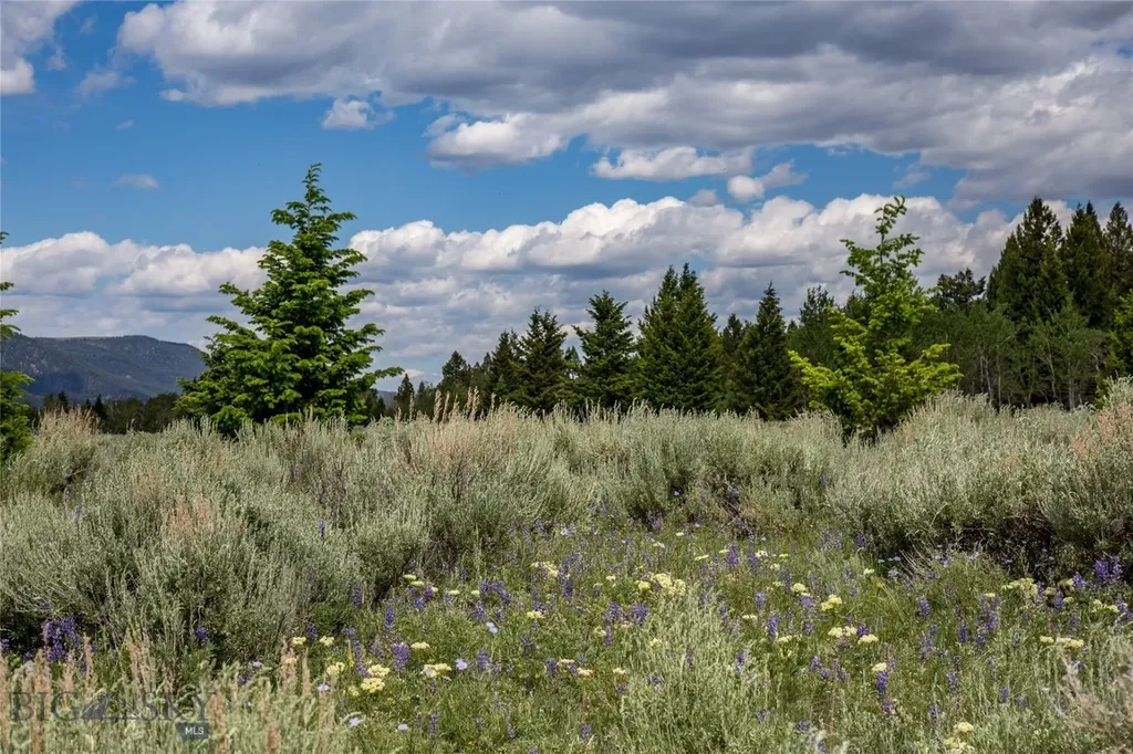 Lot 37 Sun West Ranch Cameron MT 59720