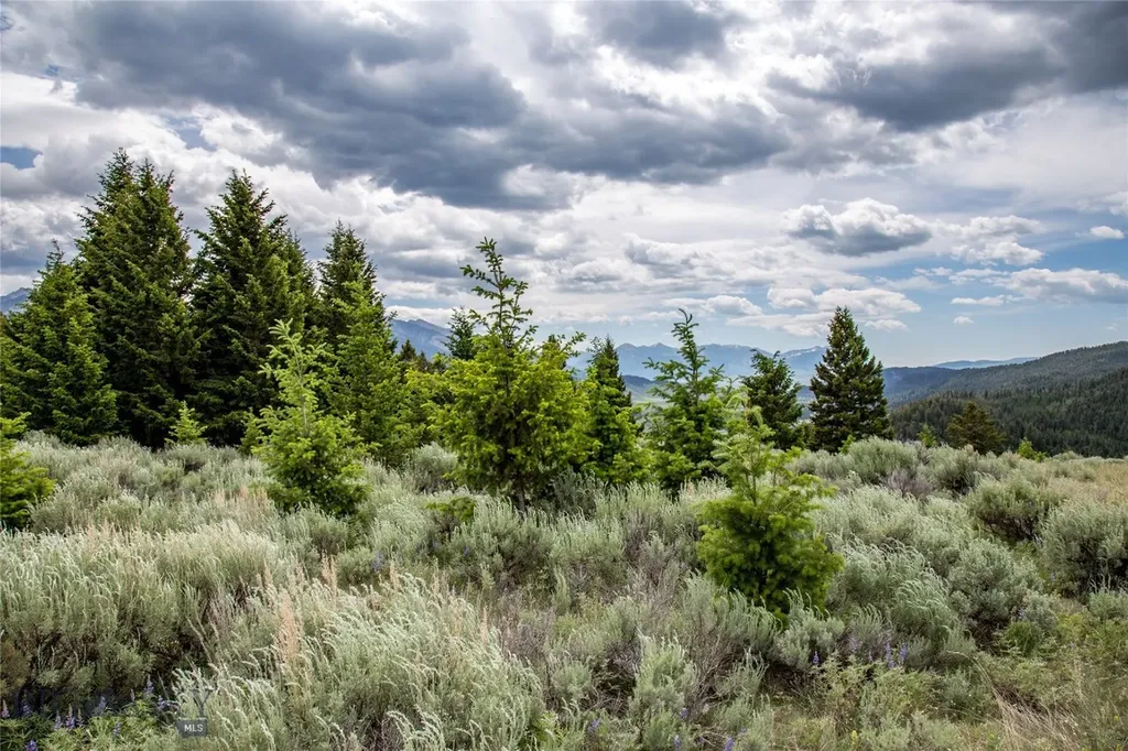 Lot 37 Sun West Ranch Cameron MT 59720