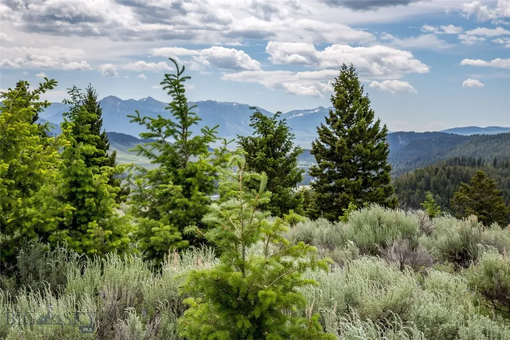 Lot 37 Sun West Ranch Cameron MT 59720
