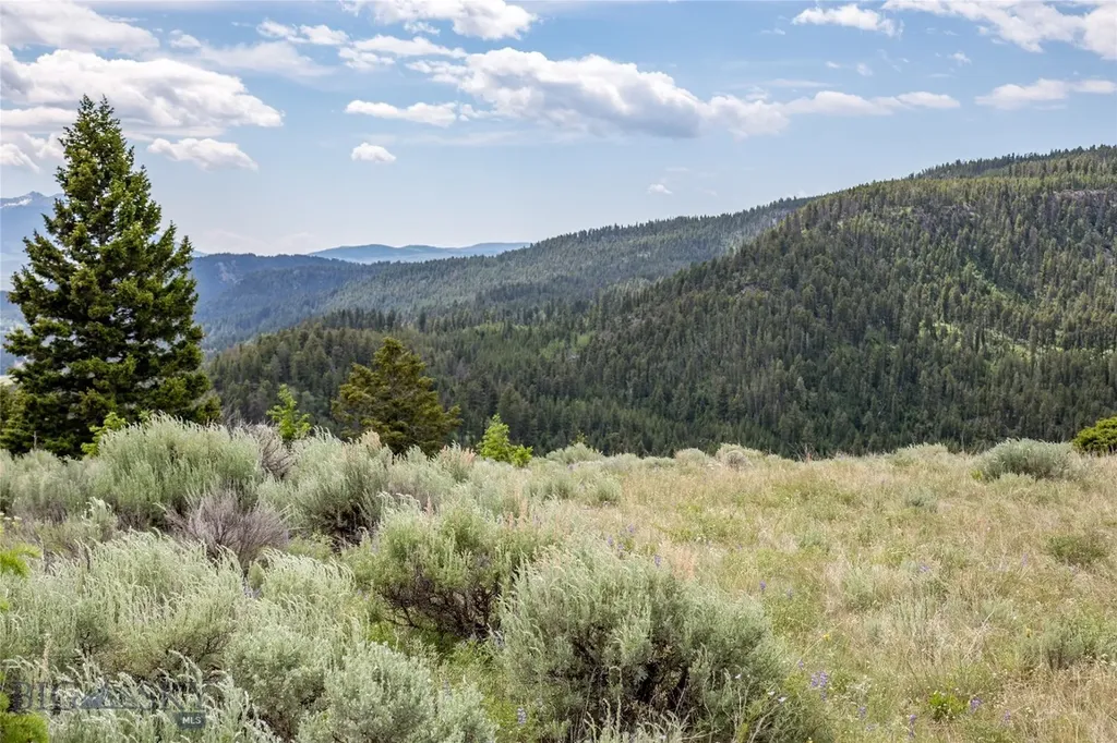 Lot 37 Sun West Ranch Cameron MT 59720