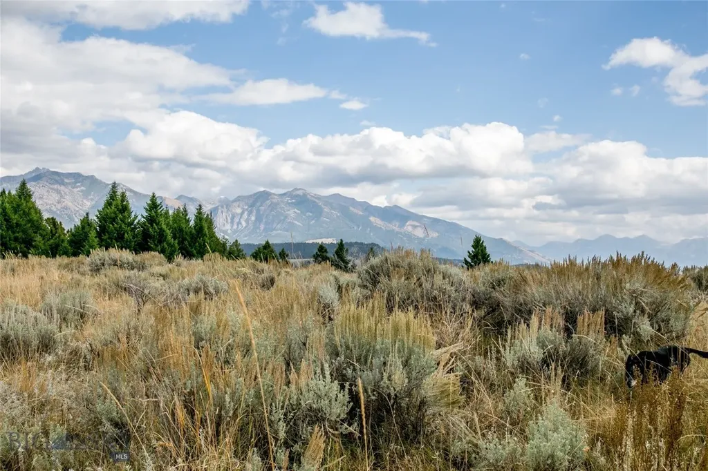 Lot 37 Sun West Ranch Cameron MT 59720