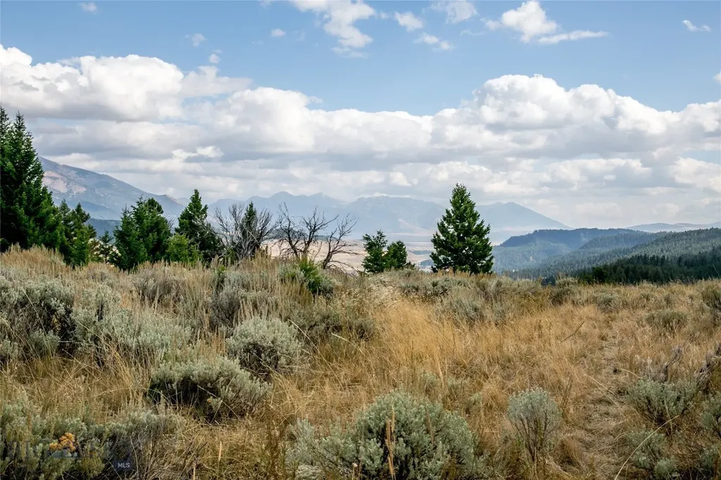 Lot 37 Sun West Ranch Cameron MT 59720