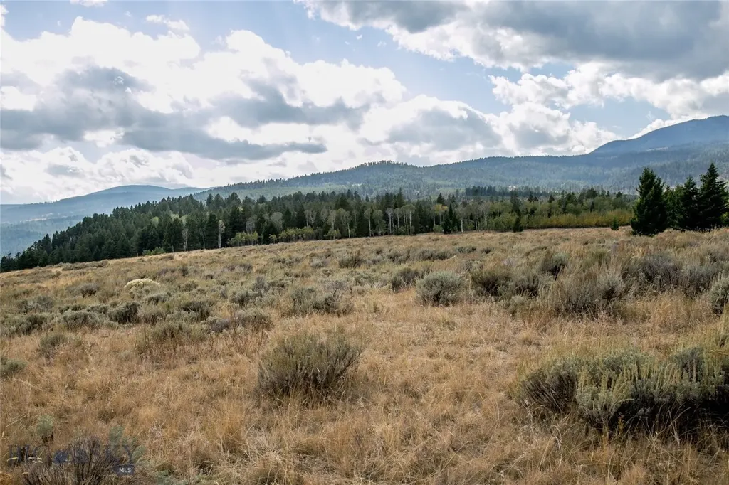 Lot 37 Sun West Ranch Cameron MT 59720