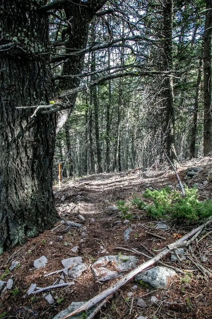 Lot 37 Sun West Ranch Cameron MT 59720