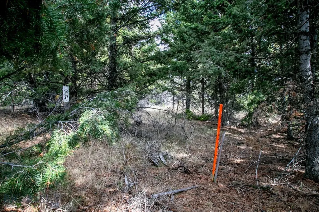 Lot 37 Sun West Ranch Cameron MT 59720