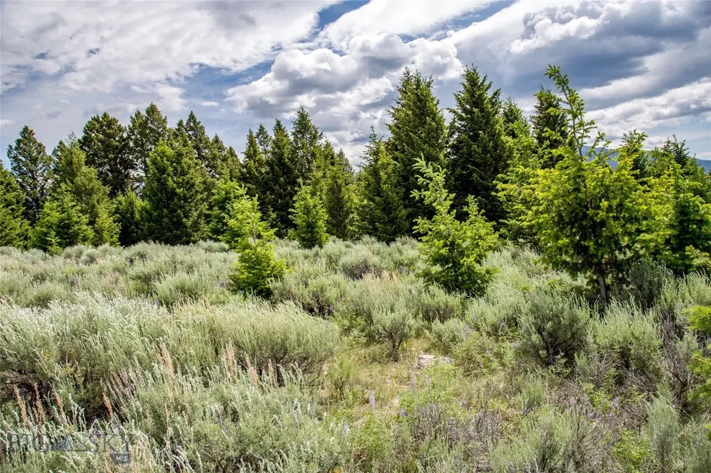 Lot 37 Sun West Ranch Cameron MT 59720