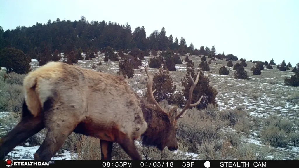 902 Lower Valley Road Boulder MT 59632