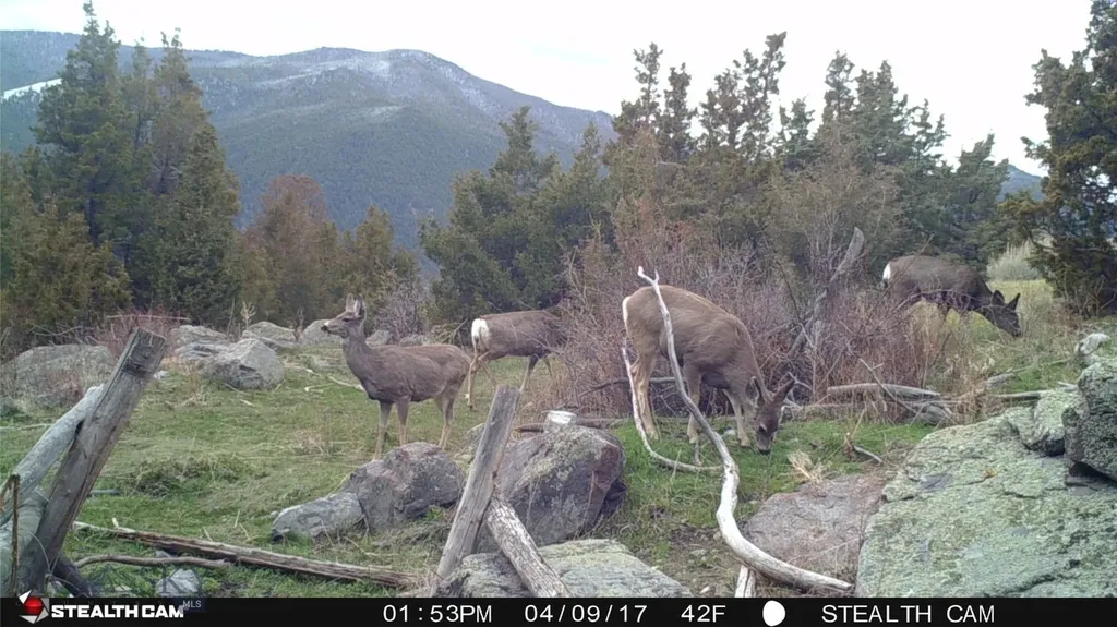 902 Lower Valley Road Boulder MT 59632