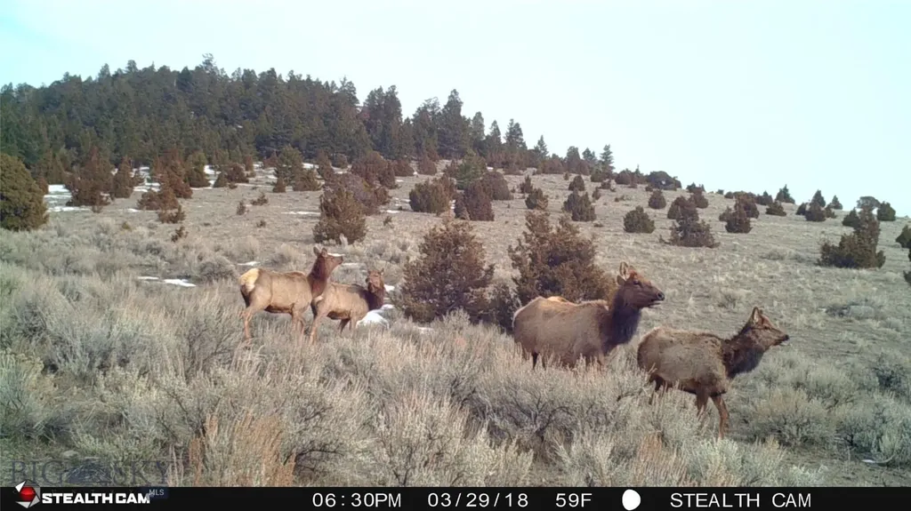 902 Lower Valley Road Boulder MT 59632