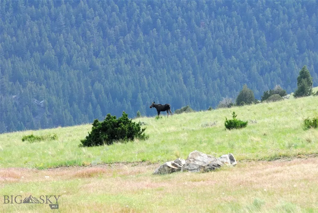902 Lower Valley Road Boulder MT 59632