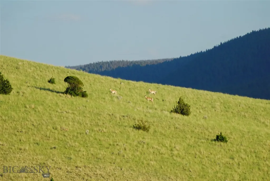 902 Lower Valley Road Boulder MT 59632