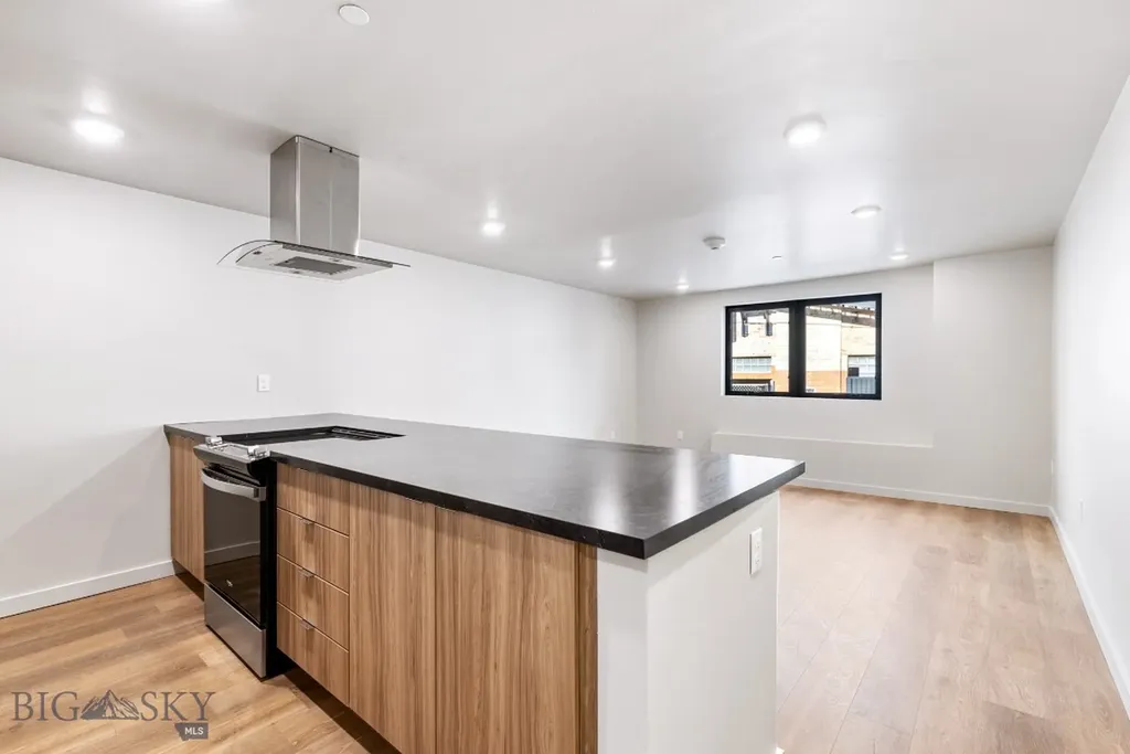 59 E Park Street Butte MT 59701