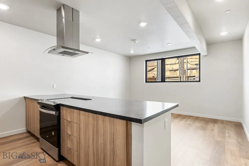 59 E Park Street Butte MT 59701