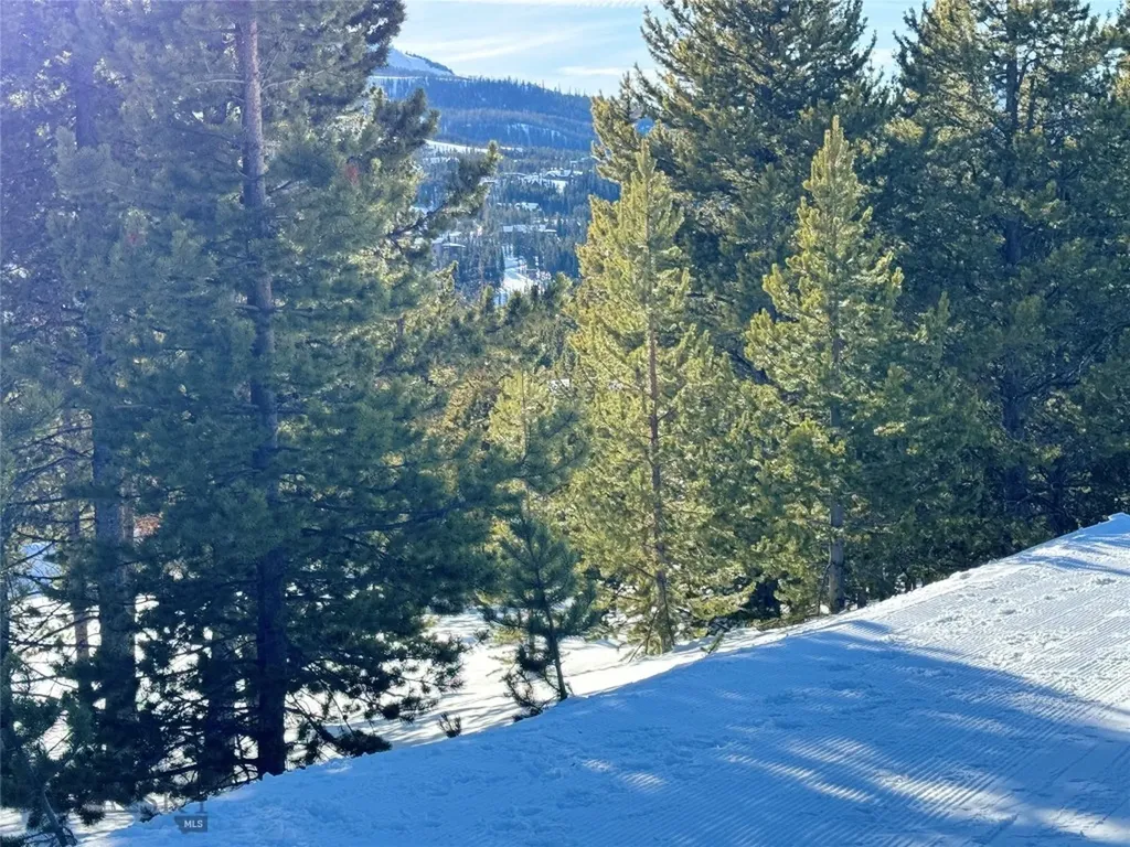 32 Beehive Basin Road Lot 235 Big Sky MT 59716