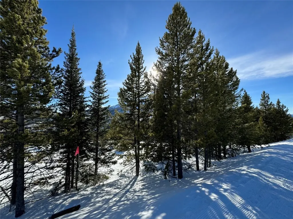 32 Beehive Basin Road Lot 235 Big Sky MT 59716
