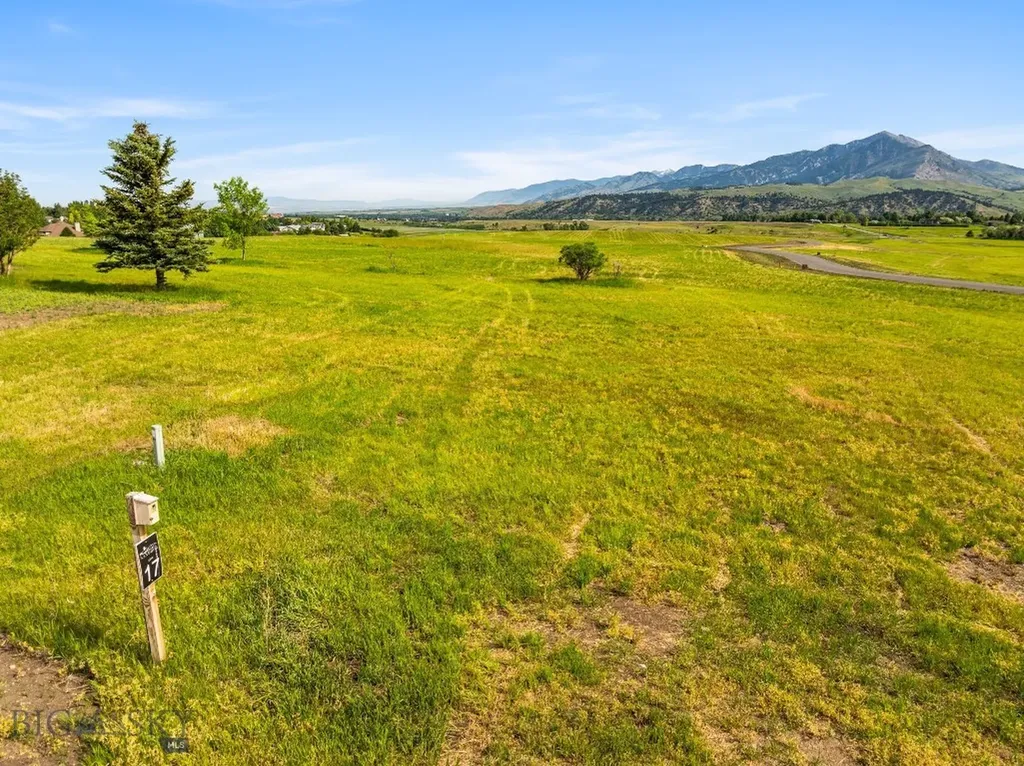 Tbd Lot 17 Boreal Way Bozeman MT 59715