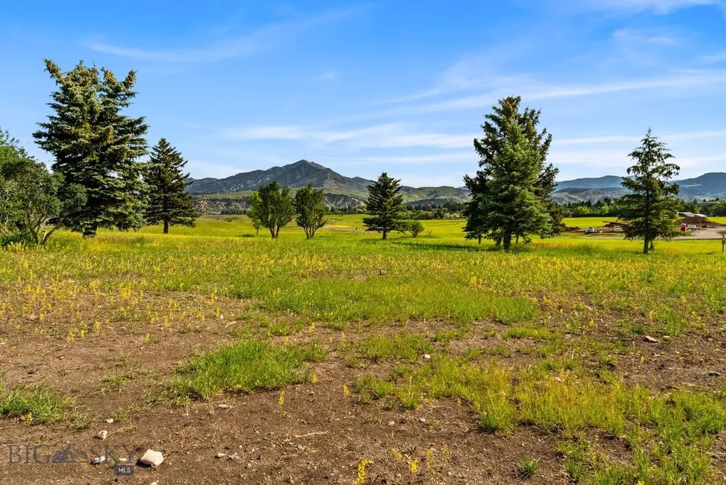 Tbd Lot 17 Boreal Way Bozeman MT 59715