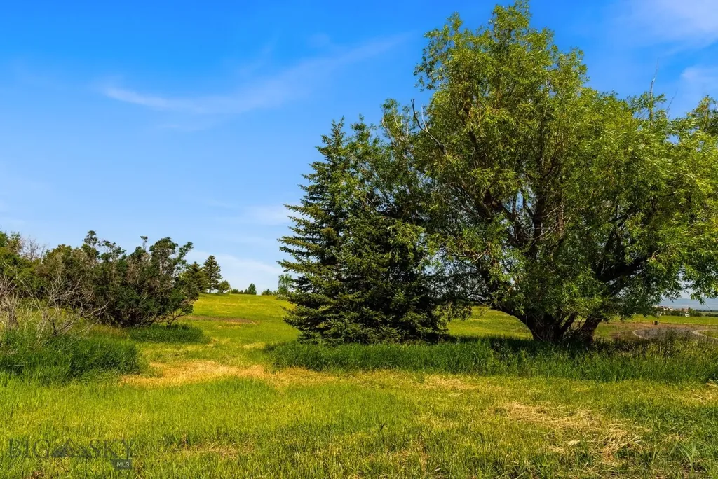 Tbd Lot 17 Boreal Way Bozeman MT 59715